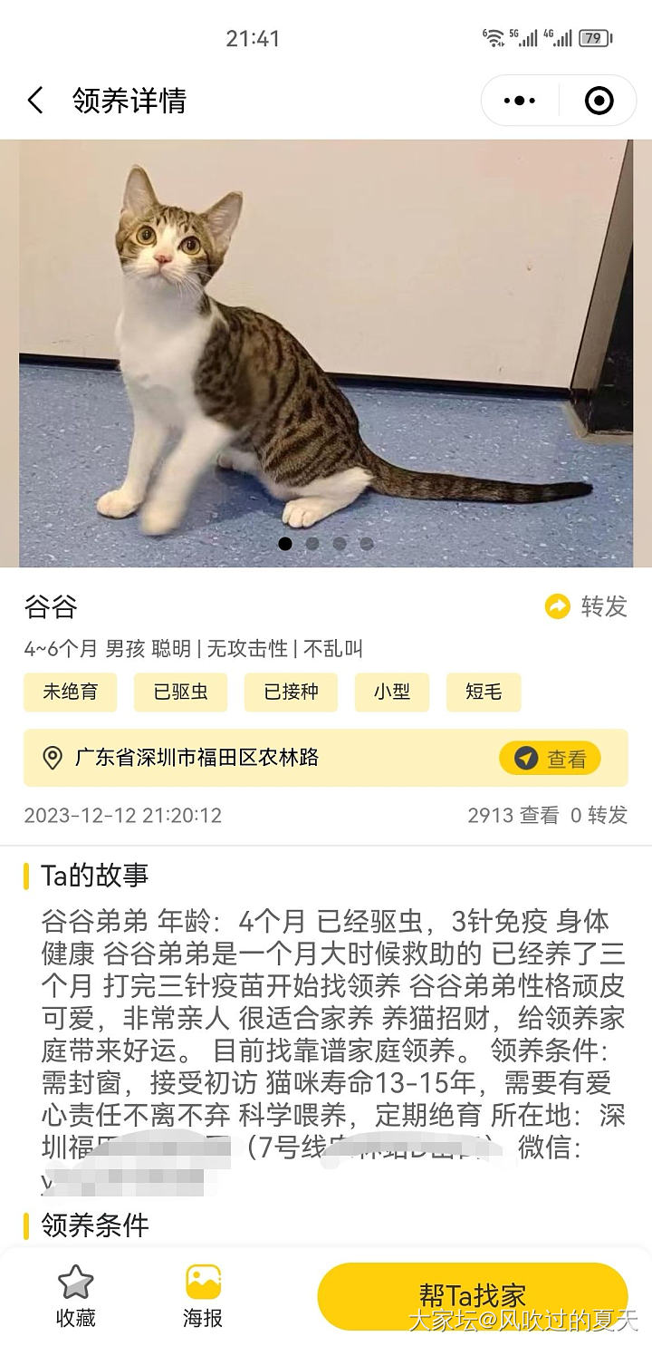 呜，我想领养这个小可爱_猫