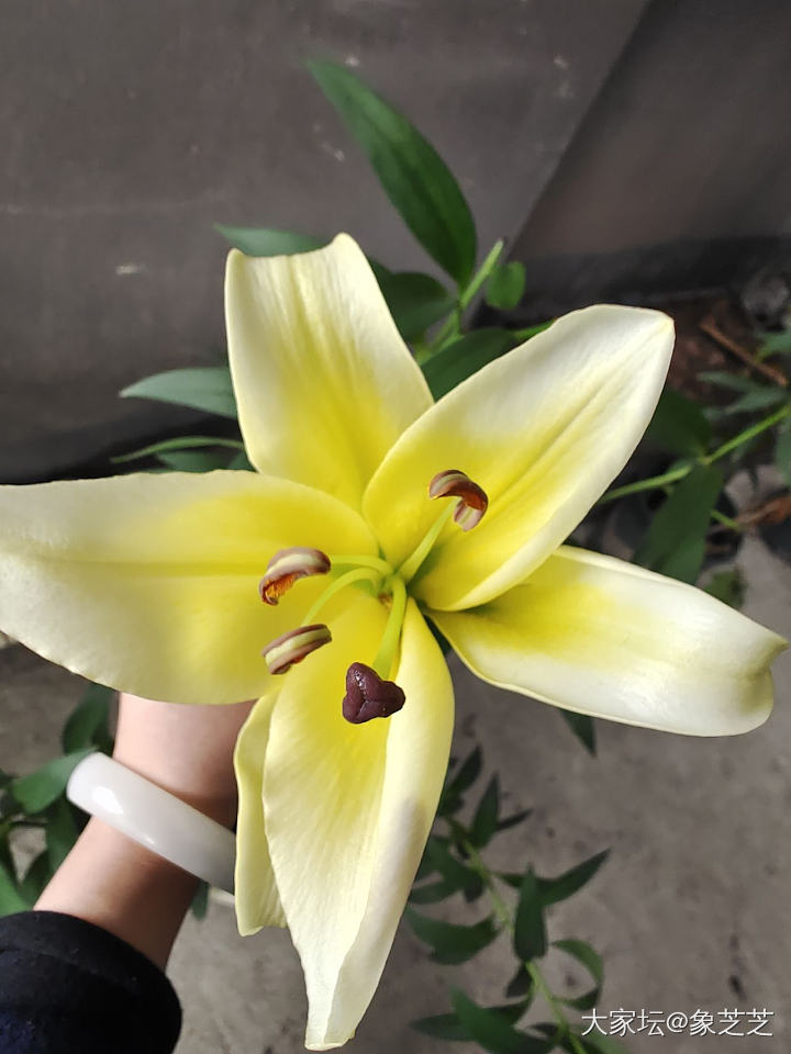 很好，我又买小玩意解馋了_尖晶石刻面宝石彩色宝石