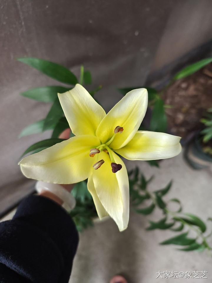 很好，我又买小玩意解馋了_尖晶石刻面宝石彩色宝石