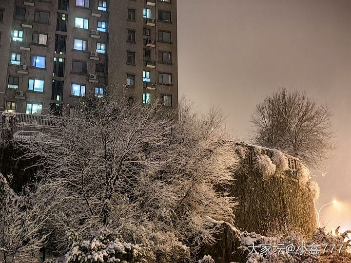 下雪啦 好几年没见大雪了 开心_闲聊