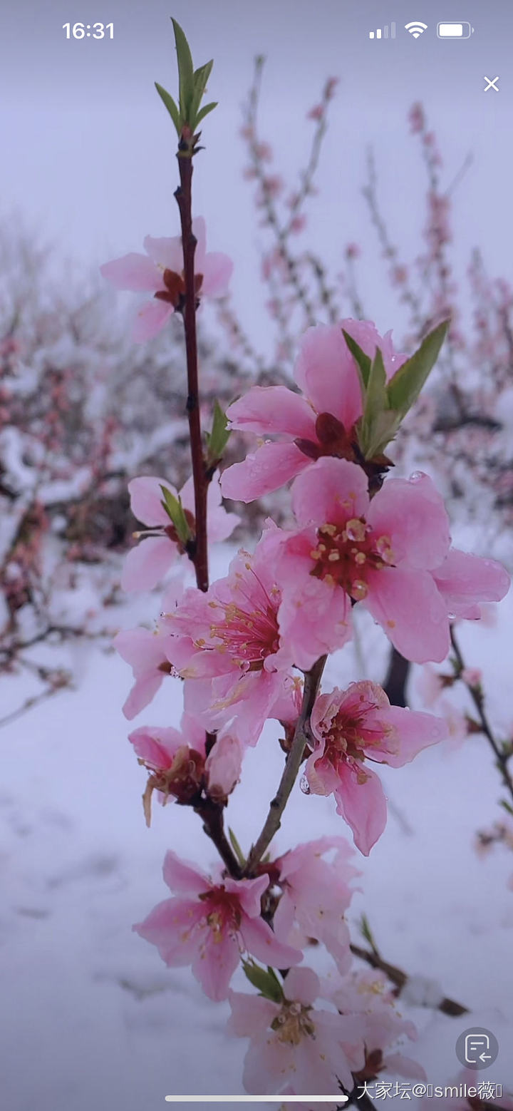 冬天❄️有冬天的美～_闲聊