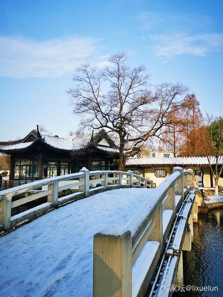 南京好认真地下了一天雪，抛开交通问题，这雪景真的好喜欢！_旅游闲聊