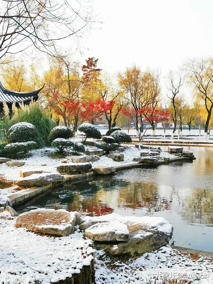 南京好认真地下了一天雪，抛开交通问题，这雪景真的好喜欢！_旅游闲聊