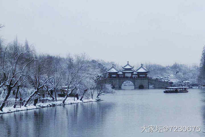 忽见扬州雪,才知是广陵。_景色