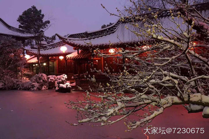 忽见扬州雪,才知是广陵。_景色