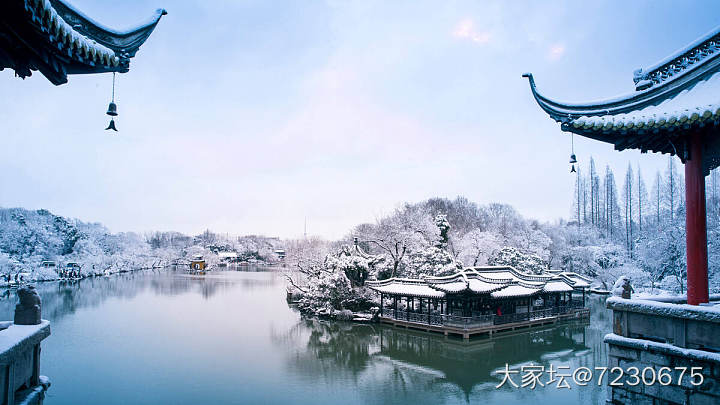 忽见扬州雪,才知是广陵。_景色