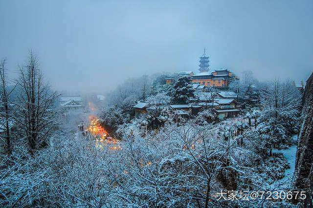 忽见扬州雪,才知是广陵。_景色