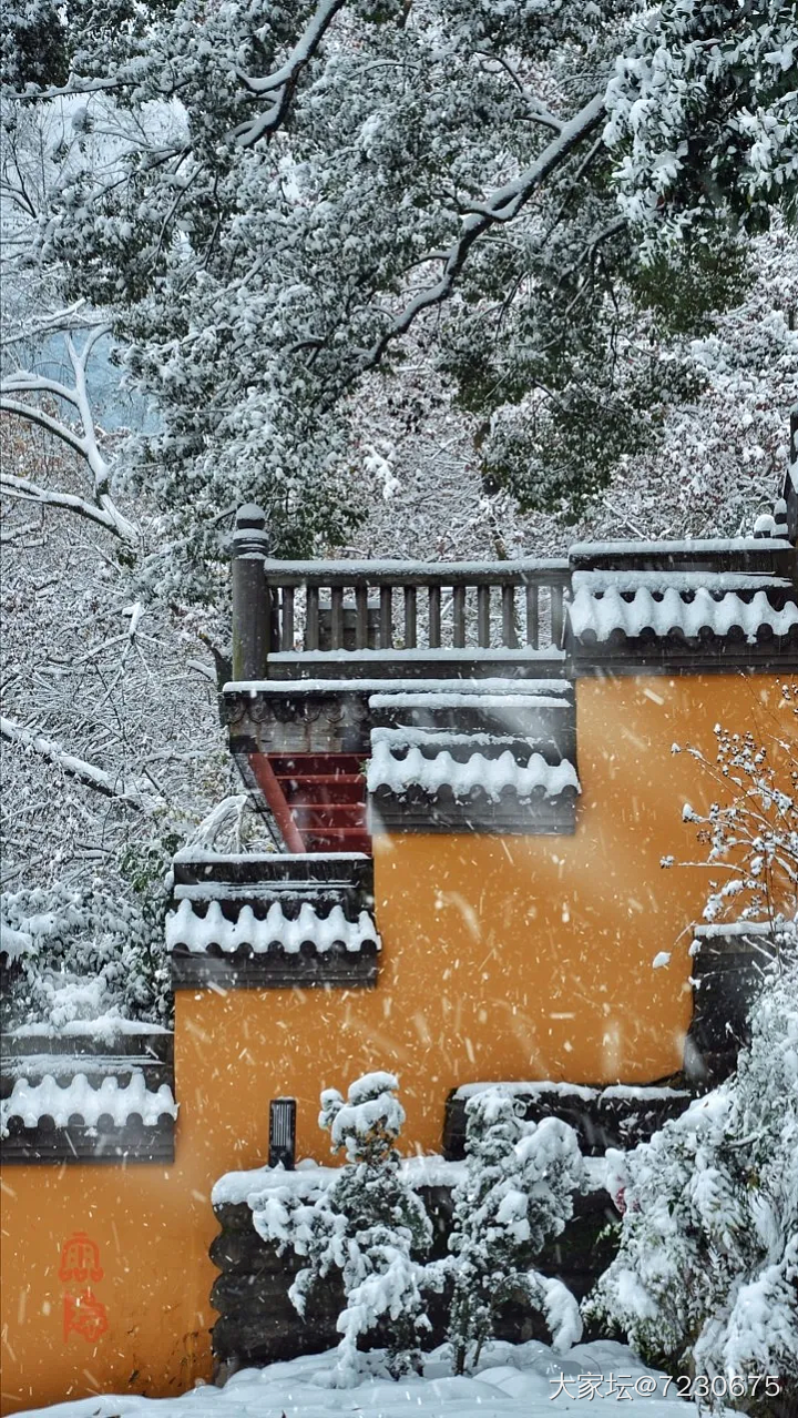 忽见扬州雪,才知是广陵。_景色