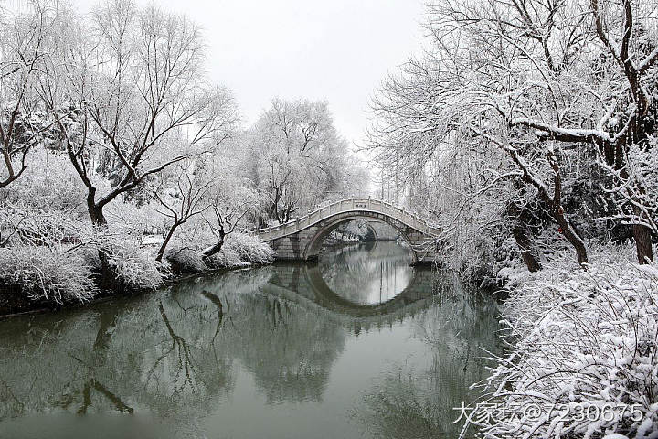 忽见扬州雪,才知是广陵。_景色