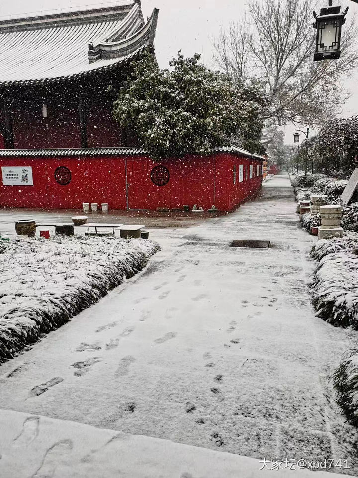 忽见扬州雪,才知是广陵。_景色
