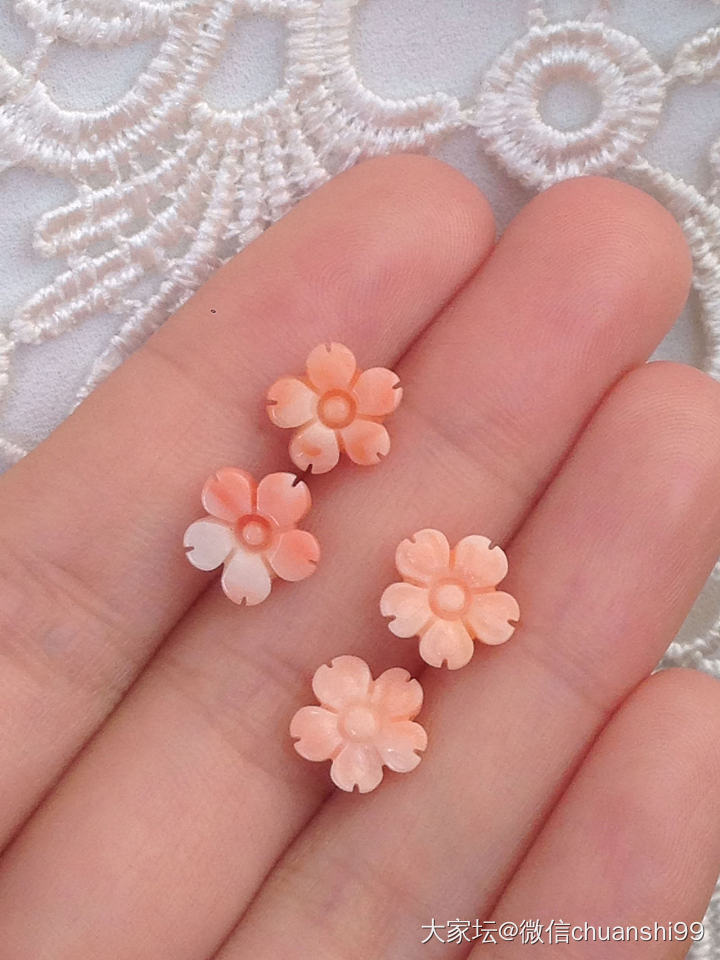 莫莫珊瑚雕刻件 樱花耳钉料_有机宝石