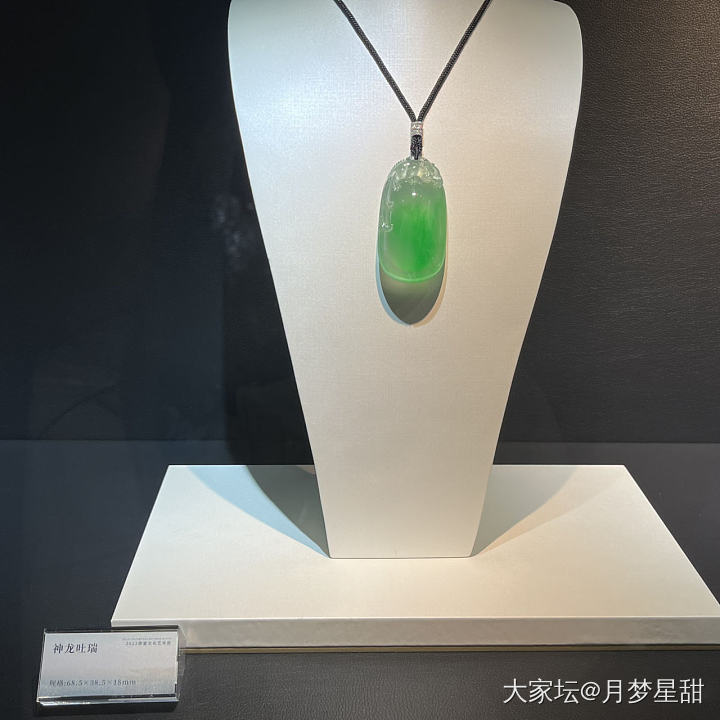 揭阳德馨珠宝展_展会翡翠