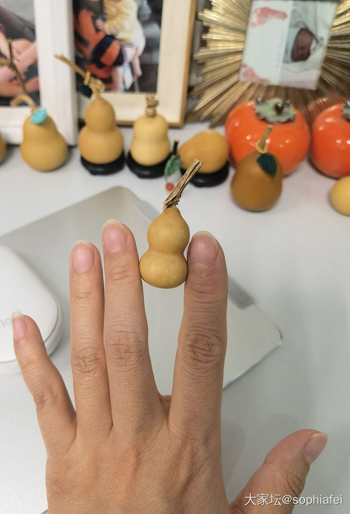 请允许我介绍我的葫芦巴巴爸爸一家_葫芦