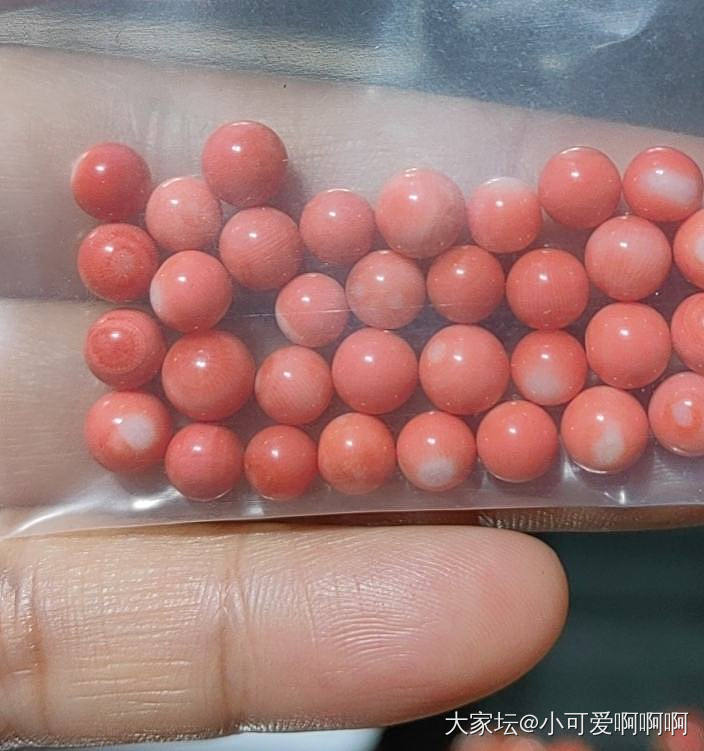 请问大家这个是莫莫吗？_珊瑚