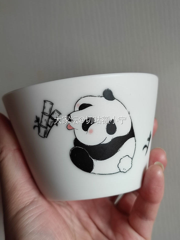 🐼熊猫杯_闲聊