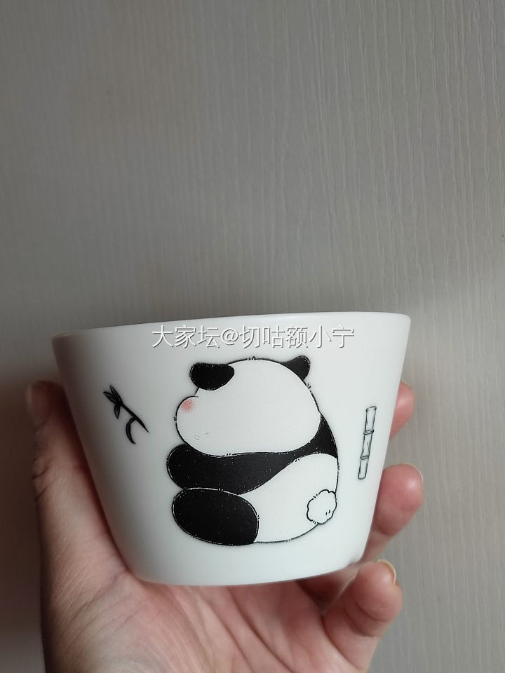 🐼熊猫杯_闲聊