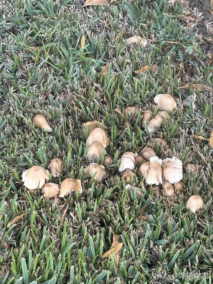 有多位小食客_松鼠昆虫