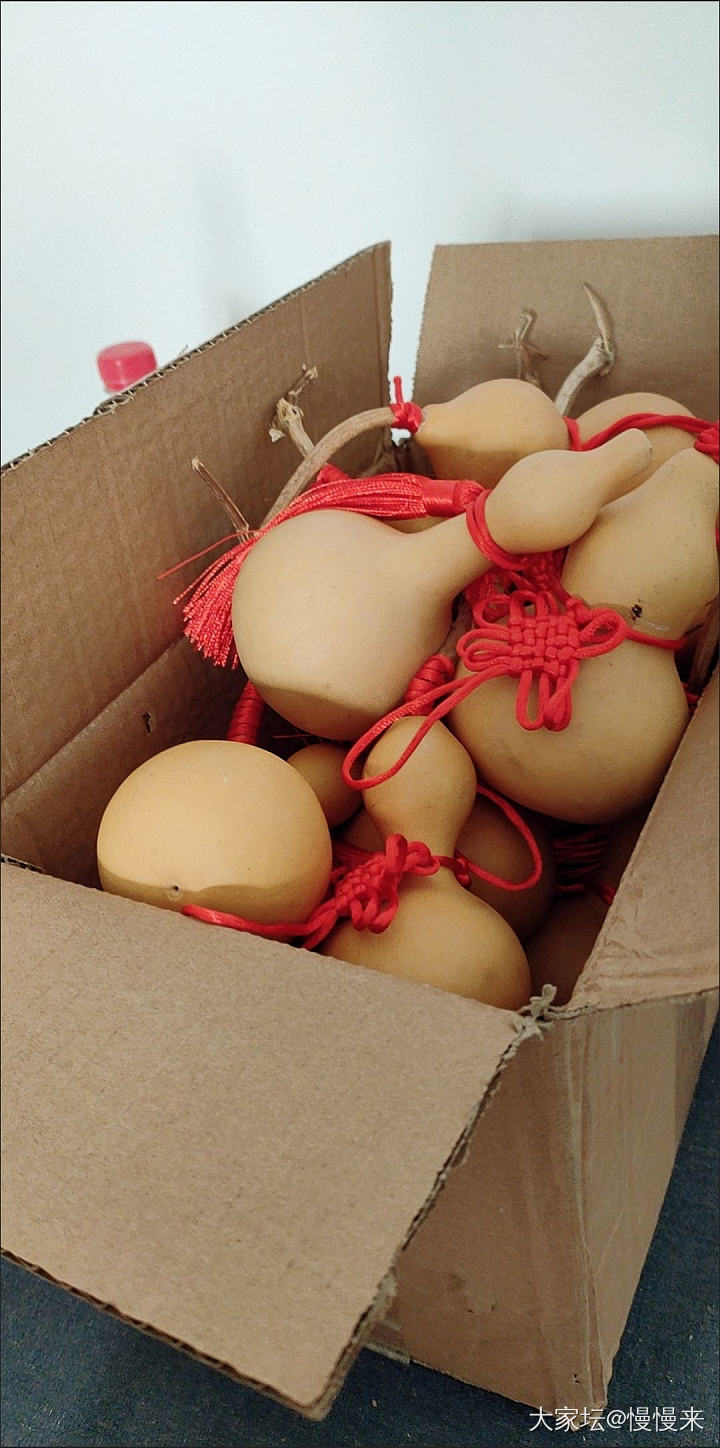 跟个风，这次是纯跟风无脑入，打算到处放点_葫芦