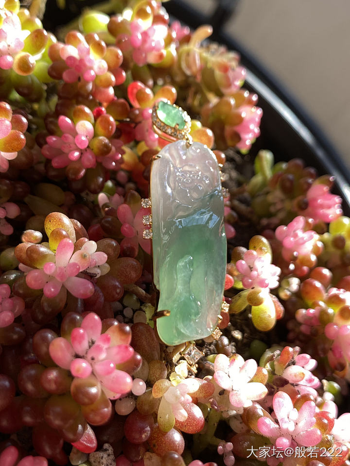 阳光治愈一切_翡翠
