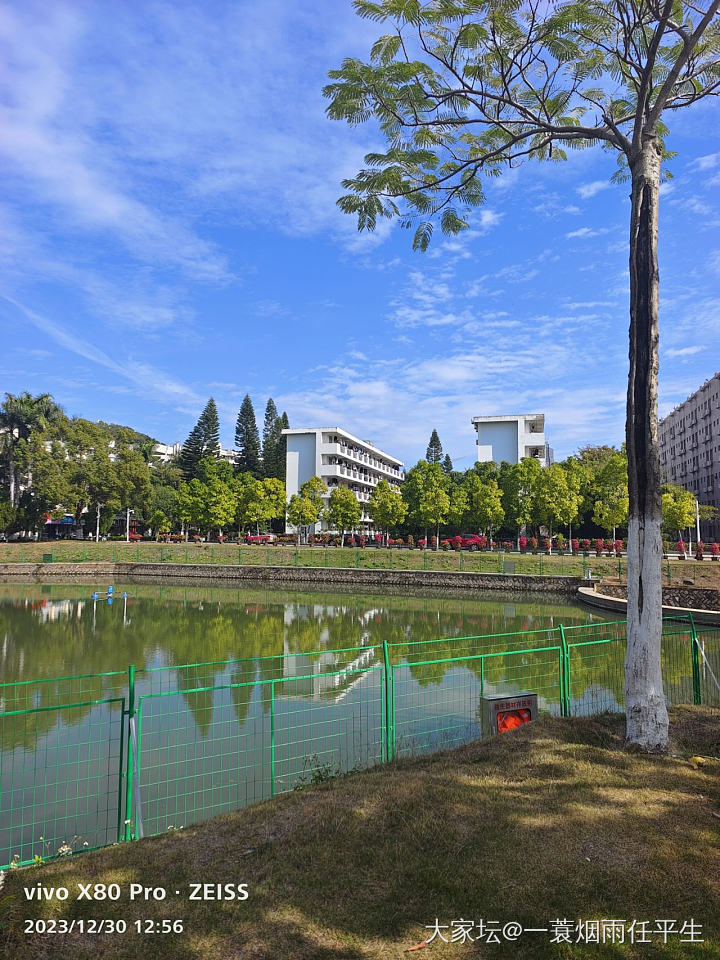 带娃来学校吃午饭_旅游