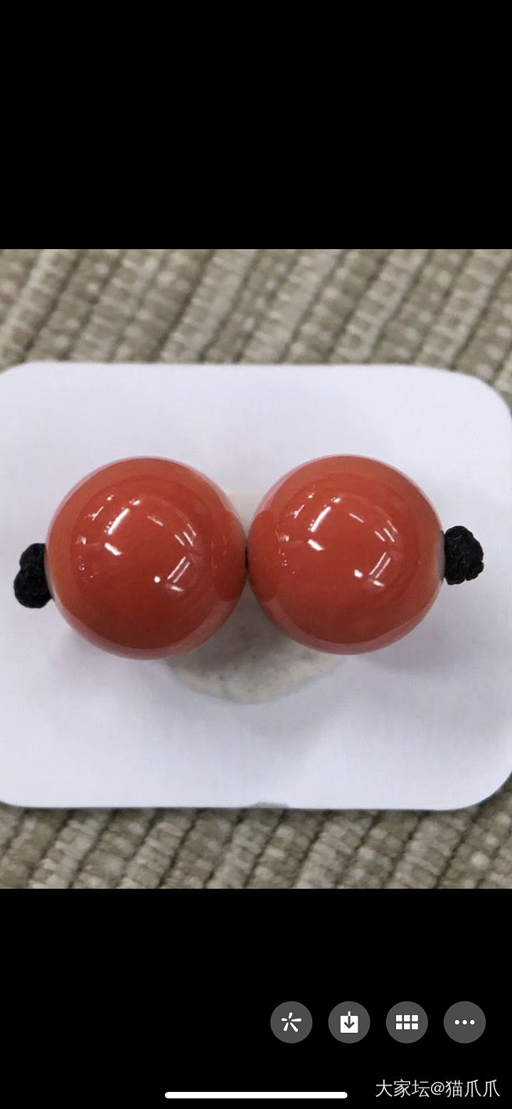 求助贴，这个价格珊瑚能不能入？_珊瑚