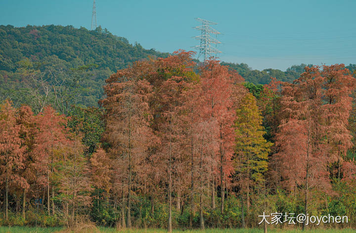 深圳的冬天_景色