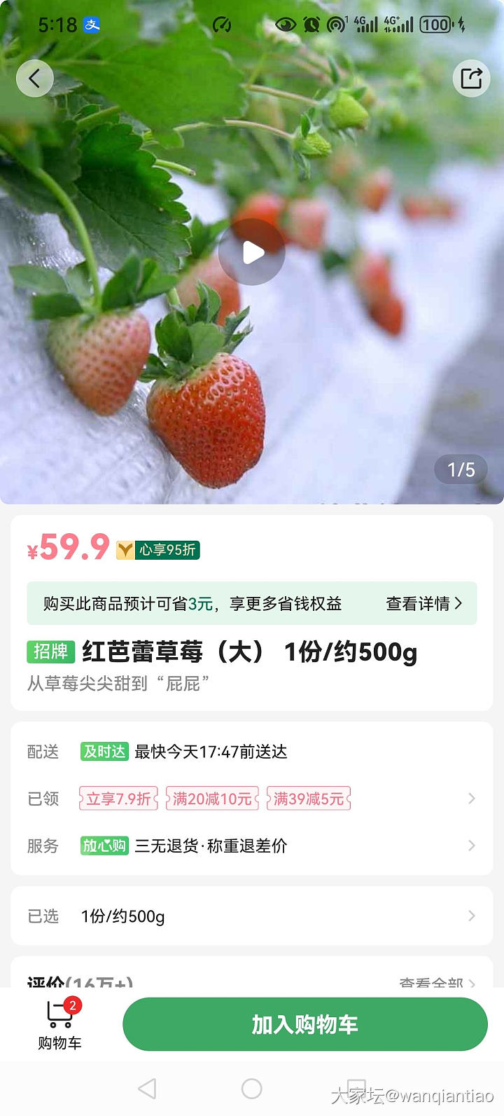 草莓怎么还没降价？_水果闲聊