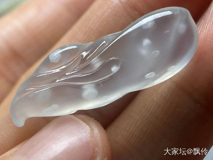 好美的兰花_翡翠