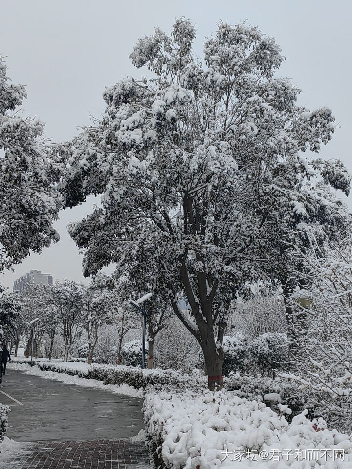 一夜大雪_闲聊和田玉