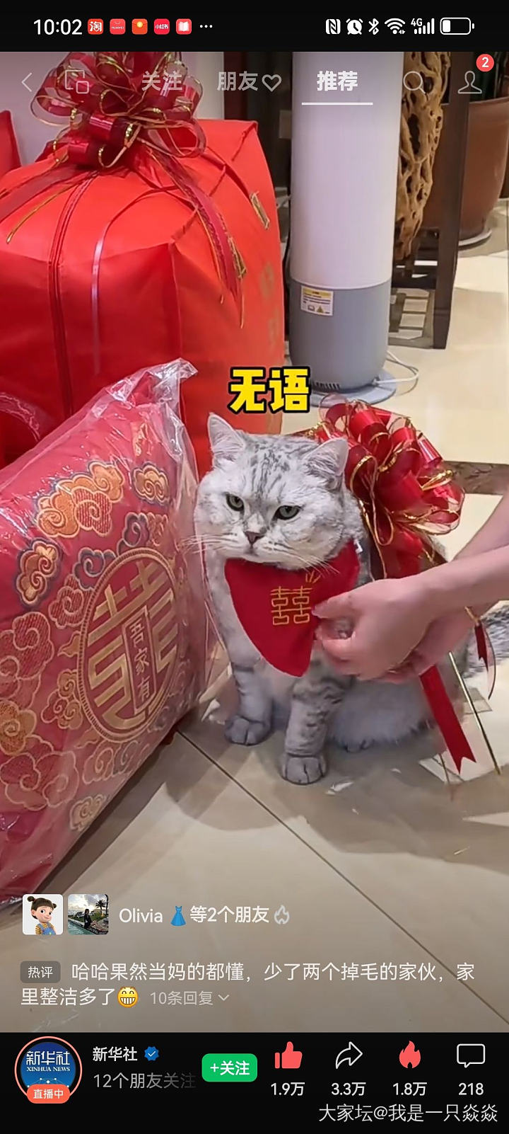 这个可以有 我也想安排😂。_猫