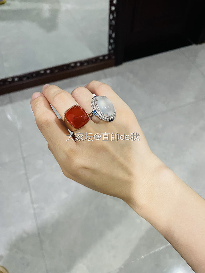 俺家大白有朋友了_南红
