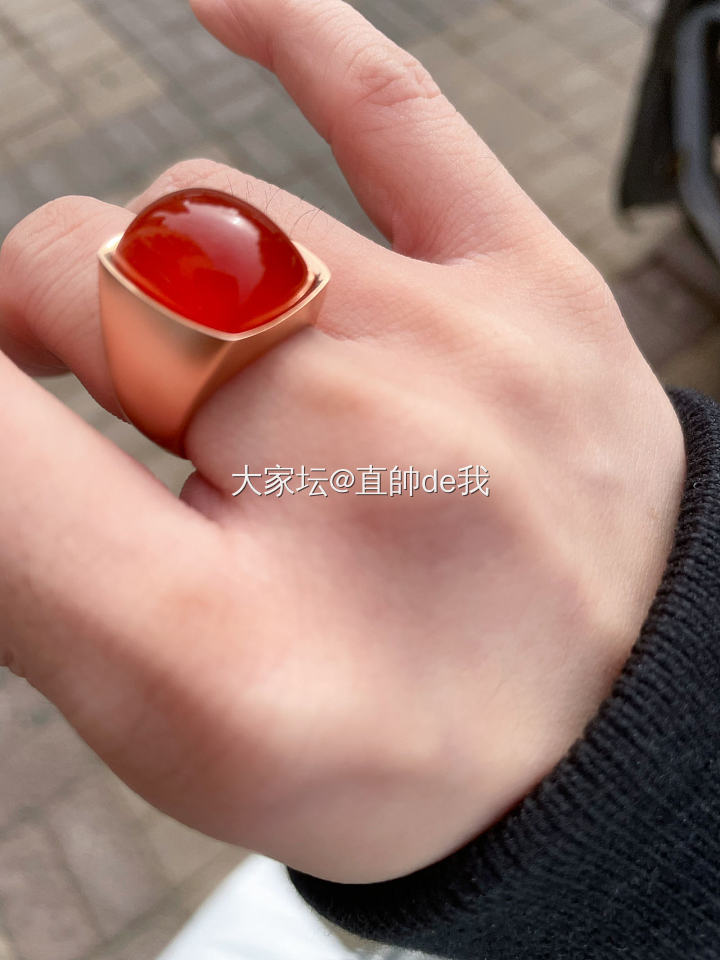 俺家大白有朋友了_南红
