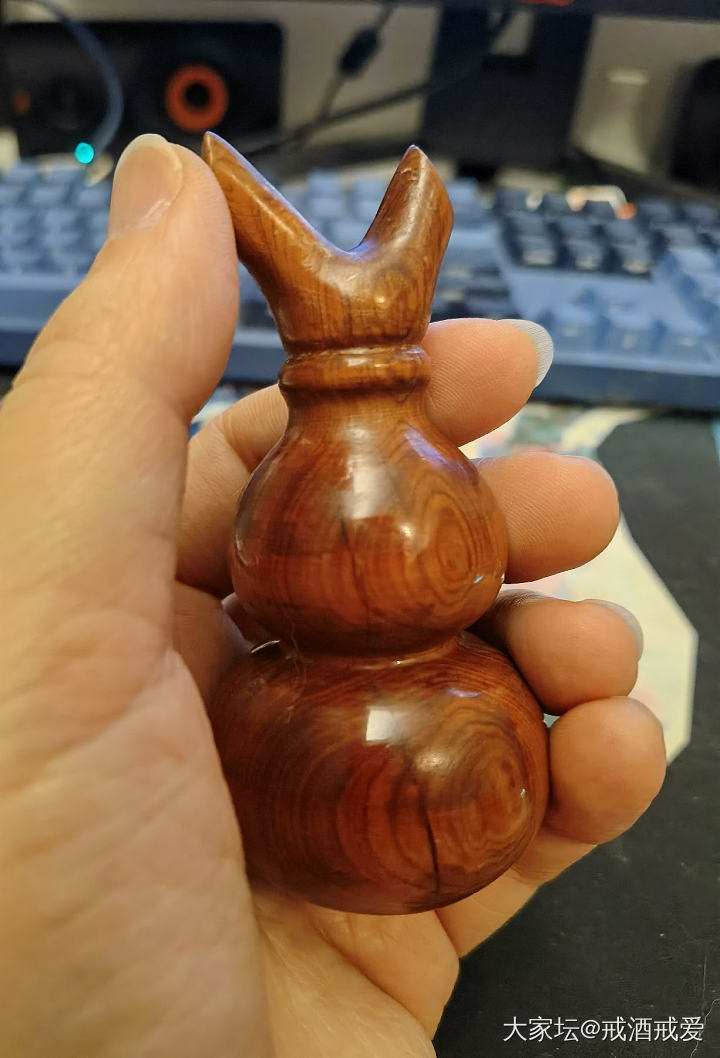 看大家说今年要带葫芦_葫芦