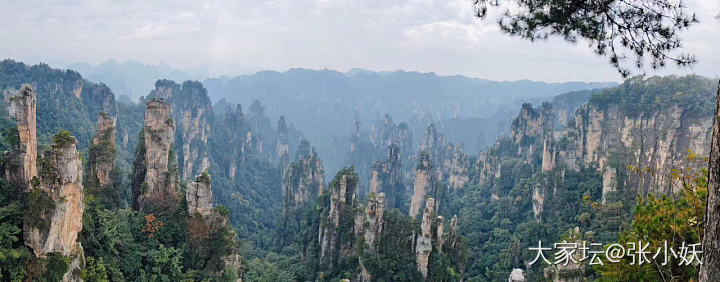 春节想去张家界，有啥建议吗～_湖南