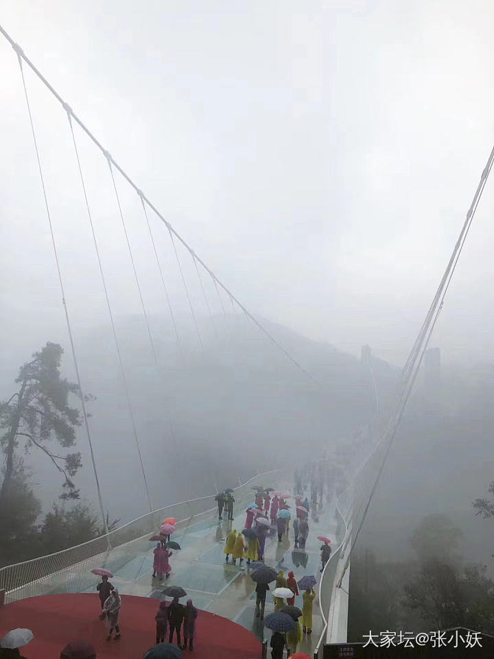 春节想去张家界，有啥建议吗～_湖南