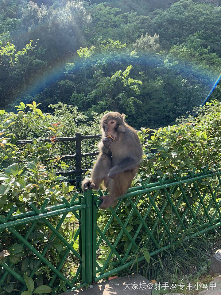 春节想去张家界，有啥建议吗～_湖南