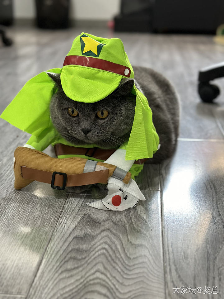 今天和妈玩cosplay_猫