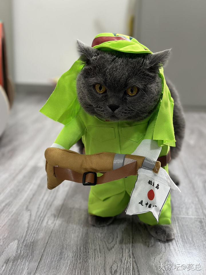 今天和妈玩cosplay_猫