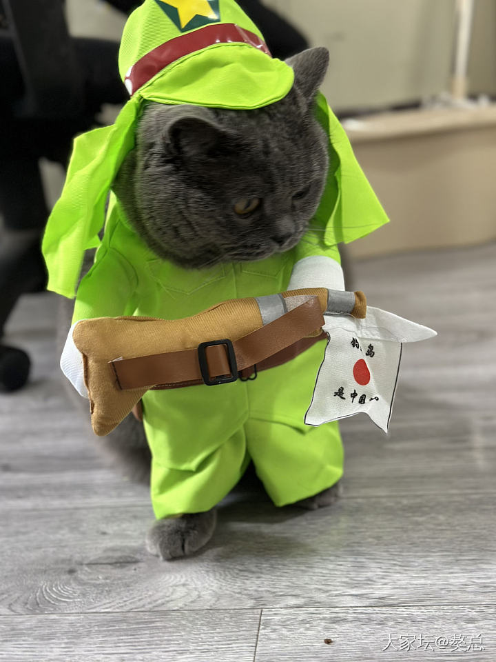 今天和妈玩cosplay_猫