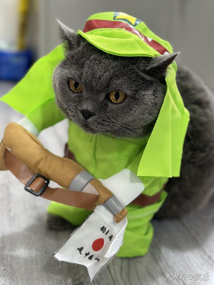 今天和妈玩cosplay_猫