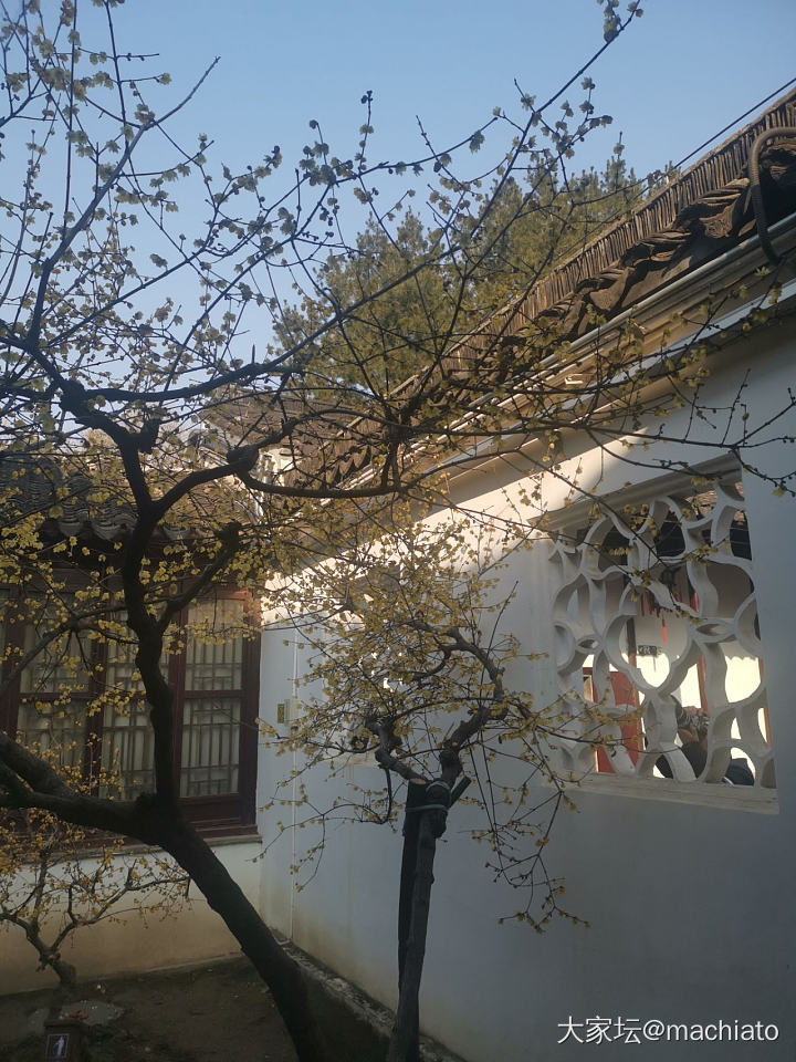 瞻园的窗_植物摄影江苏景色