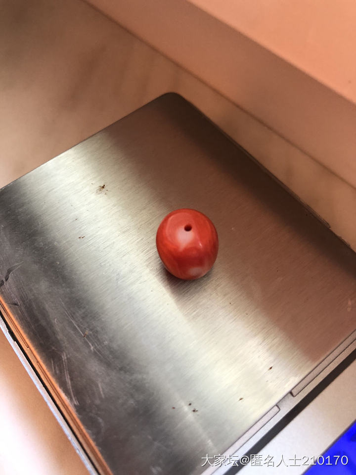 姐妹们 这个王同学能做个啥啊_珊瑚