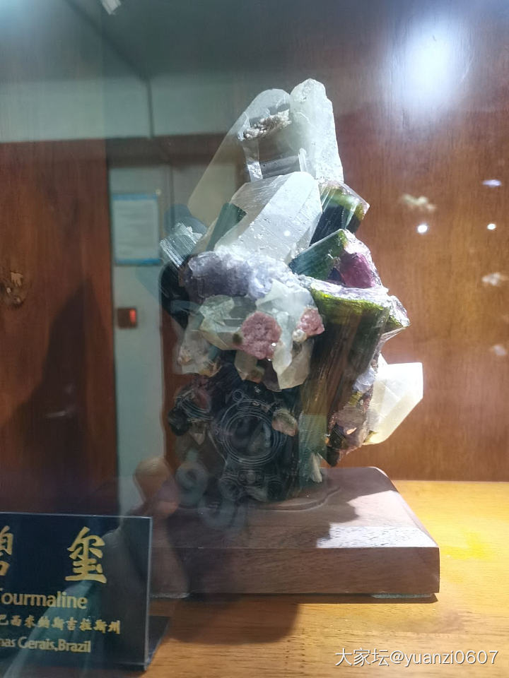 青岛德国总督楼旧址博物馆里的矿石展台_博物馆