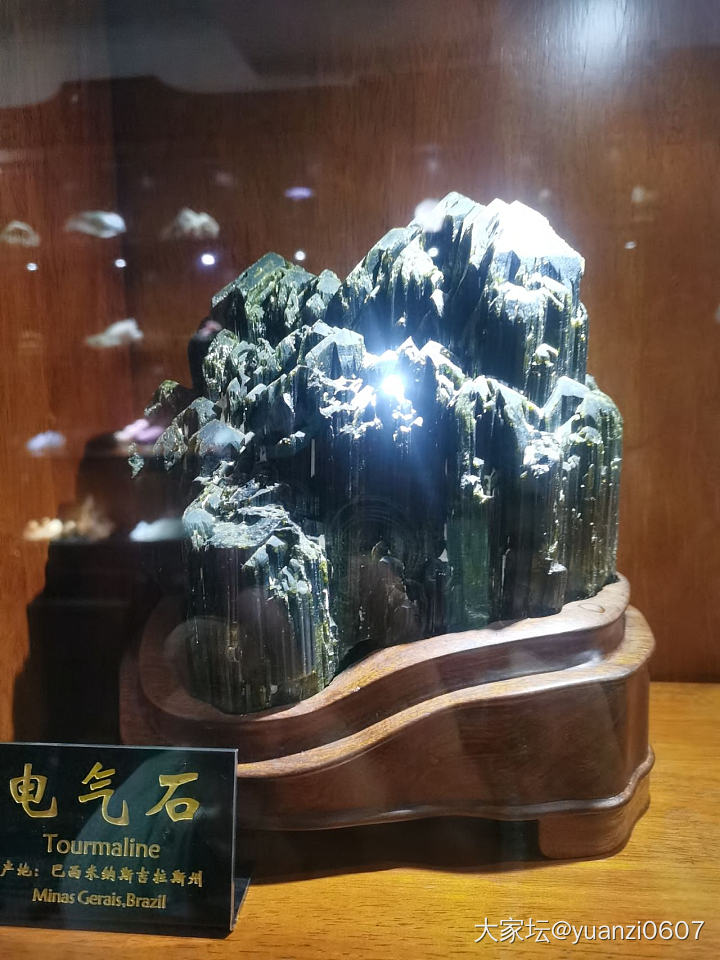 青岛德国总督楼旧址博物馆里的矿石展台_博物馆