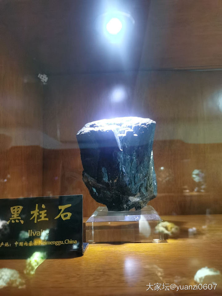 青岛德国总督楼旧址博物馆里的矿石展台_博物馆