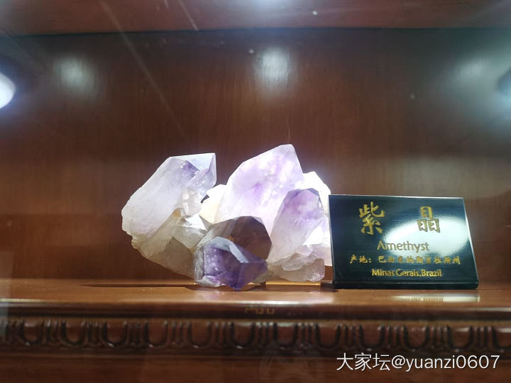 青岛德国总督楼旧址博物馆里的矿石展台_博物馆