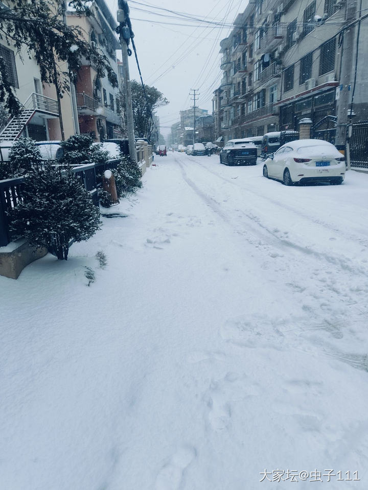 雪越下越大了！_闲聊