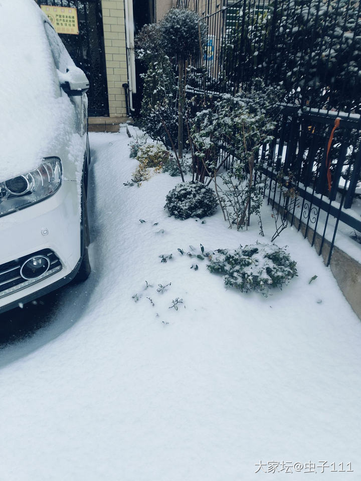 雪越下越大了！_闲聊