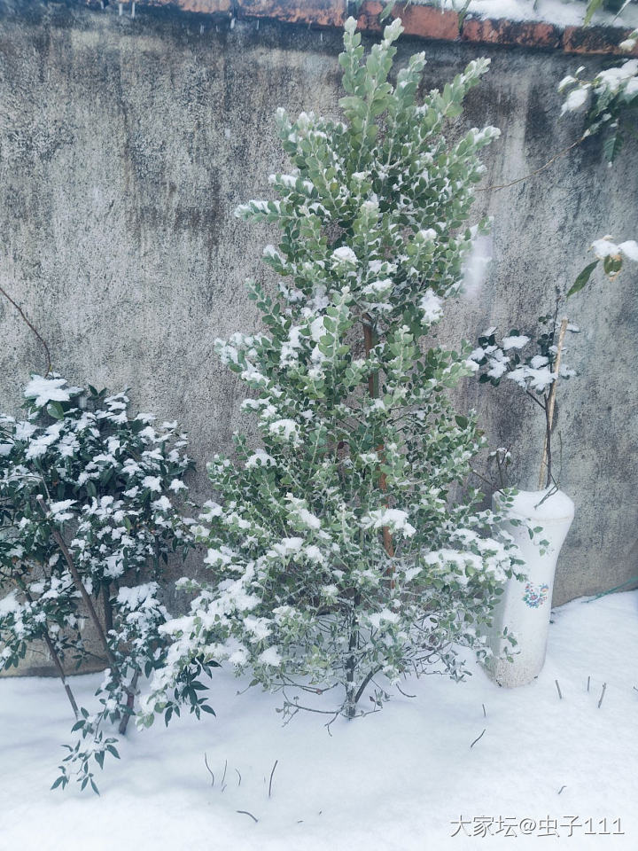 雪越下越大了！_闲聊