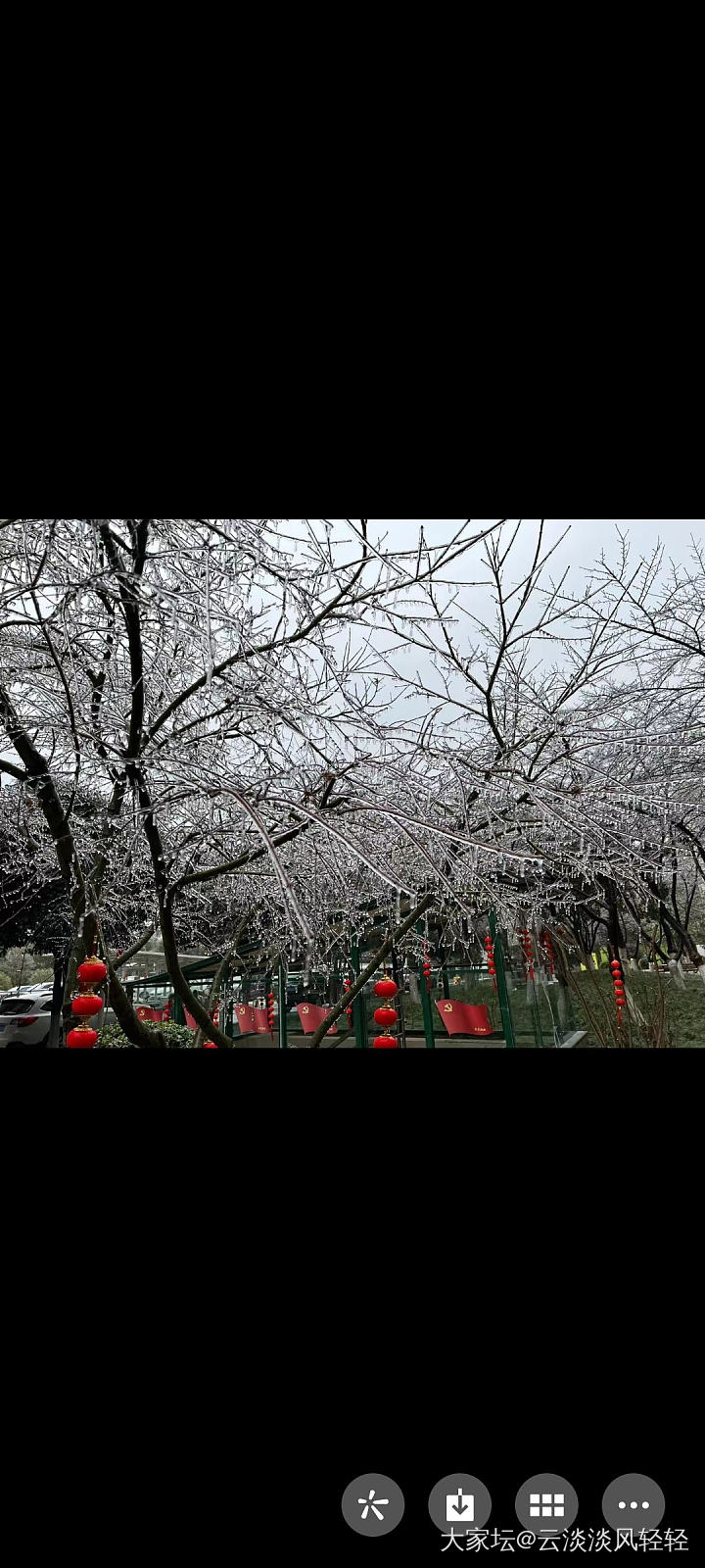 立春 立志 立行
瑞雪迎春，冻雨小雪先后如约而至。期盼中一片白茫茫的雪景未见，倒..._生活